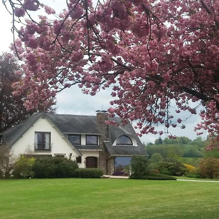Elegant Villa In Stavelot With Fitness Playroom Exteriör bild