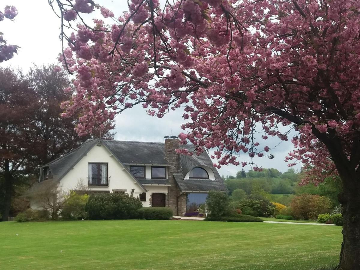 Elegant Villa In Stavelot With Fitness Playroom Exteriör bild